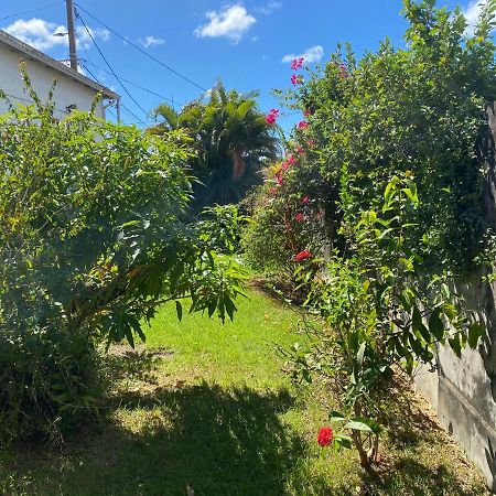 Maison Petit Paradis Basse-Terre Eksteriør billede