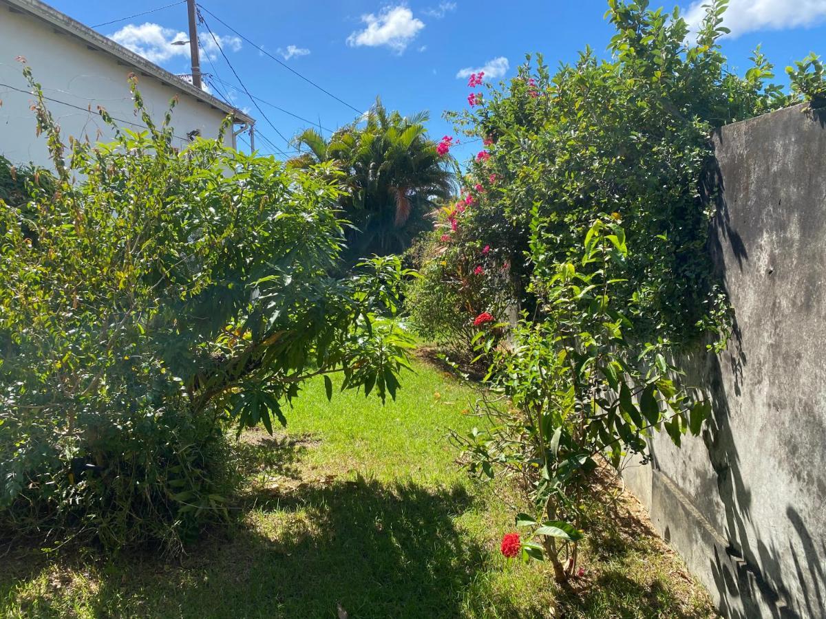 Maison Petit Paradis Basse-Terre Eksteriør billede